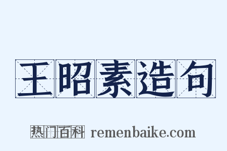 王昭素造句是什么意思的图片